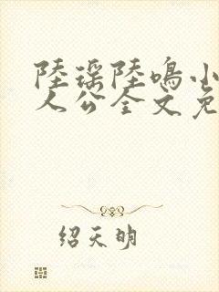 陆瑶陆鸣小说主人公全文免费阅读笔趣阁