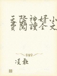 天降神婿小说免费阅读全文封面