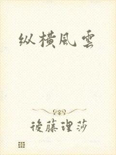 纵横风云封面