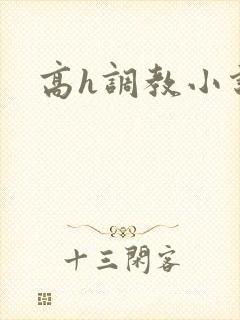 高h调教小说