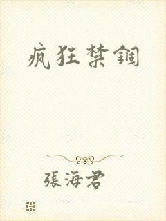 疯狂禁锢封面