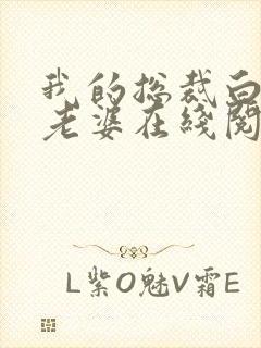 我的总裁白富美老婆在线阅读无弹窗封面