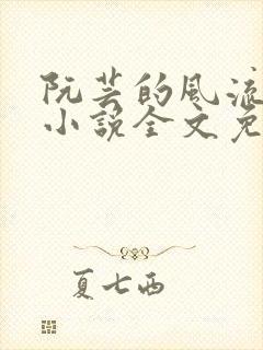阮芸的风流人生小说全文免费阅读