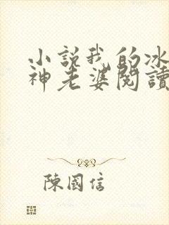 小说我的冰山女神老婆阅读