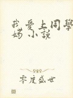 我爱上同学的妈妈 小说