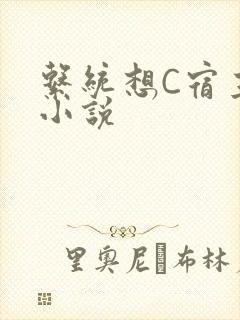 系统想C宿主的小说