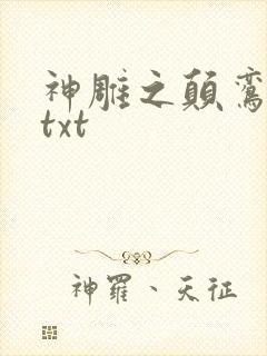 神雕之颠鸾倒凤txt