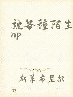 被各种陌生人 np封面