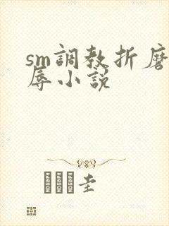 sm调教折磨羞辱小说