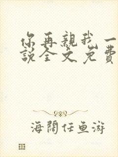 你再亲我一下小说全文免费阅读