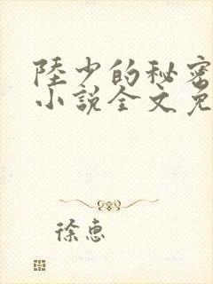 陆少的秘密恋人小说全文免费阅读
