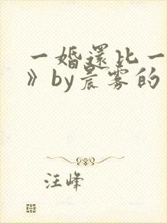 一婚还比一婚高》by晨雾的光