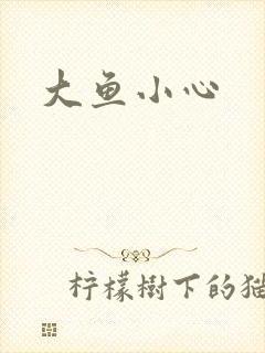 大鱼小心