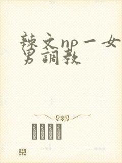 辣文np一女多男调教