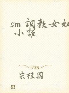 sm 调教女奴 小说