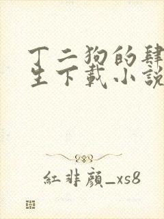丁二狗的肆意人生下载小说全文