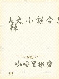 h文小说合集高辣封面