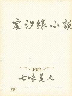 宸汐缘小说