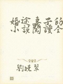婚途妻子的秘密小说阅读全文