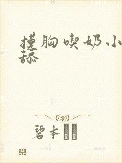 摸胸吃奶小说吸舔封面