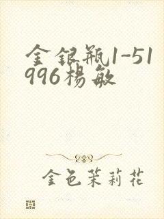 金银瓶1-51996杨敏封面