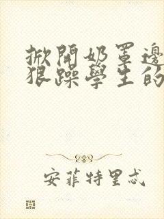 掀开奶罩边躁狠狠躁学生的小文字