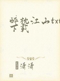 醉枕江山txt下载封面