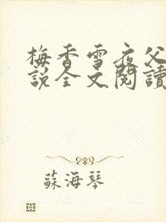 梅香雪夜父子小说全文阅读封面