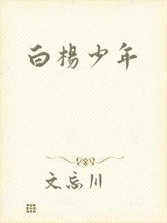 白杨少年