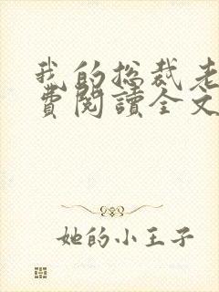 我的总裁老婆免费阅读全文