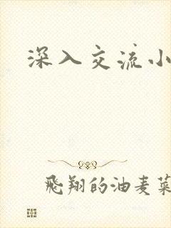深入交流小说