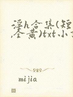 淫h合集(短篇,全黄)txt小说封面