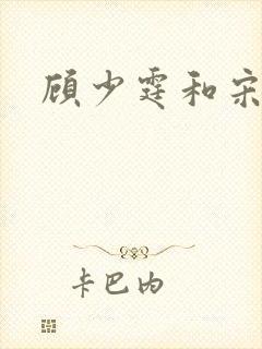 顾少霆和宋斯曼