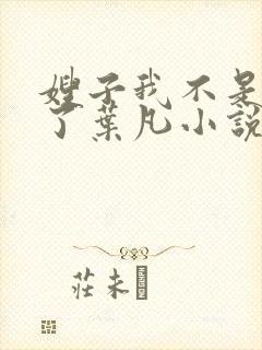 嫂子我不是傻子了叶凡小说免费阅读