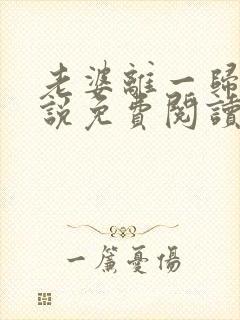 老婆离一归二小说免费阅读全文封面