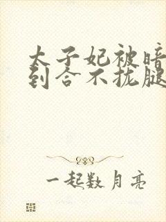 太子妃被暗卫C到合不拢腿