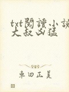 txt阅读小说大叔凶猛封面