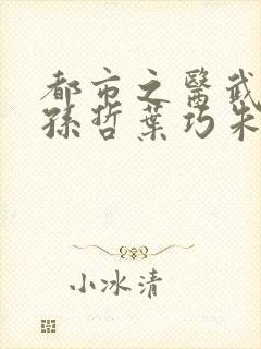 都市之医武风流孙哲叶巧朱颜
