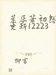 叶辰萧初然最新更新12223