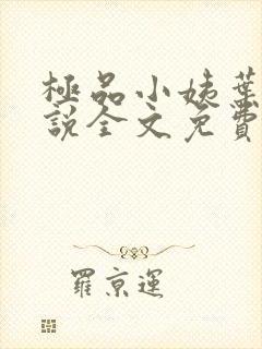 极品小姨叶凡小说全文免费阅读