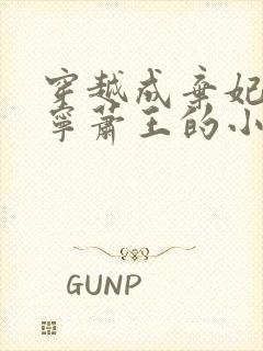 穿越成弃妃楚昀宁萧王的小说