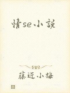 情se小说