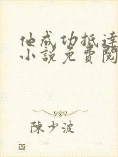 他成功抵达花心小说免费阅读全文封面