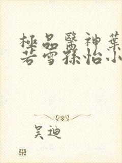 极品医神叶辰夏若雪孙怡小说