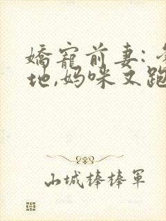 娇宠前妻: 爹地,妈咪又跑了