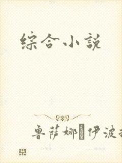 综合小说封面