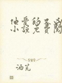他爱的又凶又怂小说免费阅读全文封面