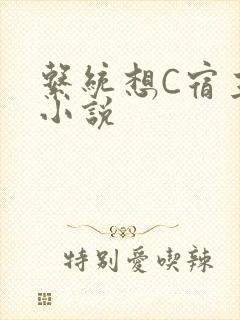 系统想C宿主的小说
