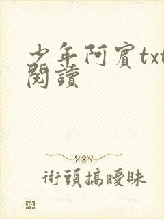 少年阿宾txt阅读