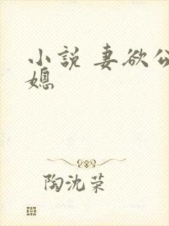 小说 妻欲公与媳
